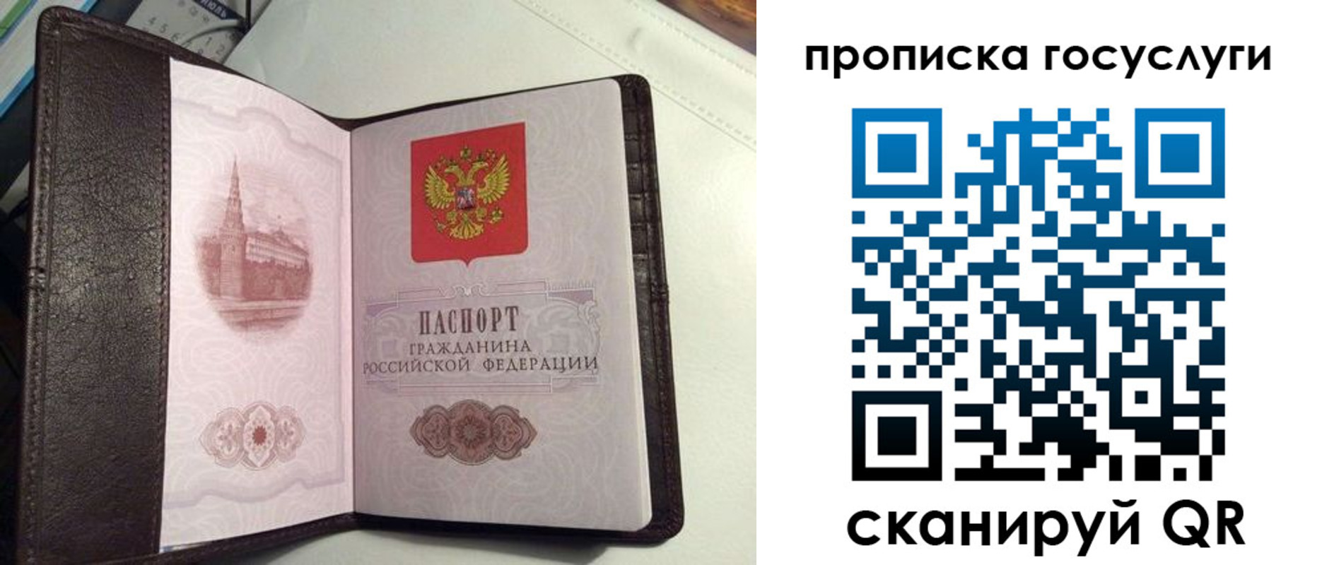 временная прописка в ЕАО